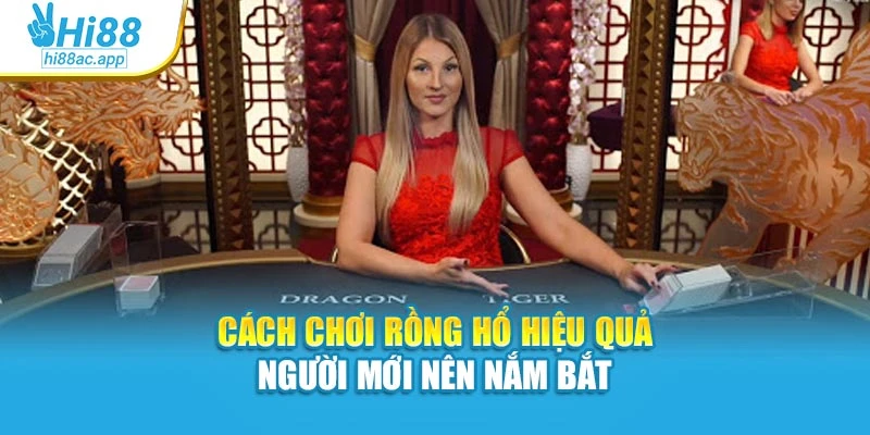 Cách chơi Rồng Hổ hiệu quả người mới nên nắm bắt